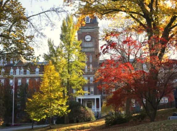 Professor at the College of the Holy Cross